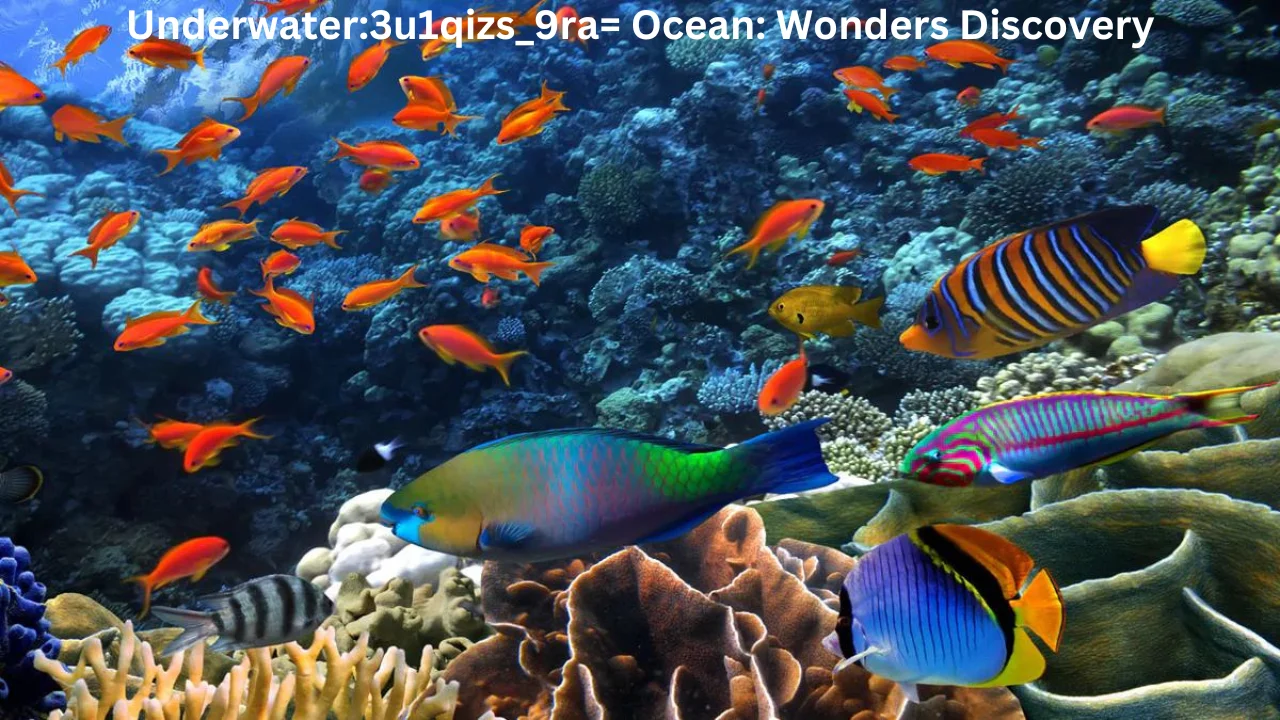 Underwater3u1qizs_9ra= Ocean