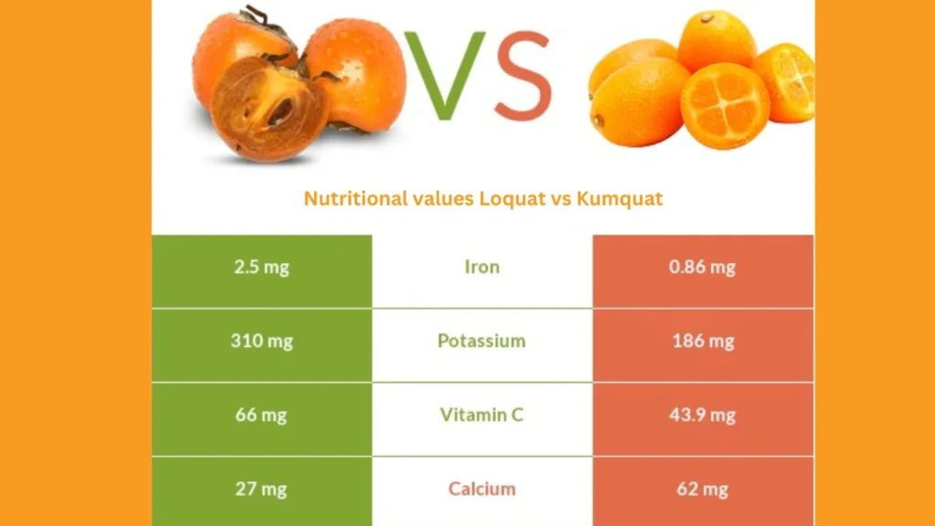 Nutritional values Loquat vs Kumquat